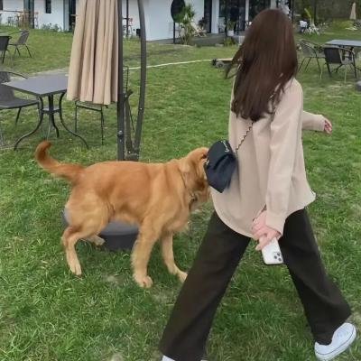 龙无目
